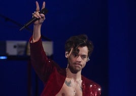 La asignatura viral de Harry Styles podría llegar a la universidad en España