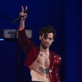 La asignatura viral de Harry Styles podría llegar a la universidad en España