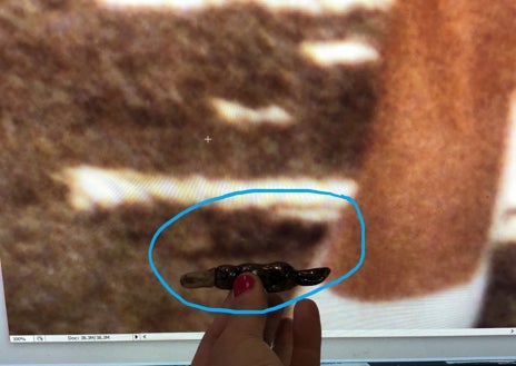 Imagen secundaria 1 - Los dos encuentros de Renae Plant con la Princesa Diana, en 1983 y 1988, inmortalizados. En la foto de arriba, la niña que está a la izquierda de la comitiva, de pie mirando a la izquierda, es Renae con 12 años. En la foto de abajo a la izquierda el ornitorrinco que encontró en el suelo, que se ve al lado del pie de Diana en la imagen de arriba. En la tercera instantánea, Renae asegura que el pulgar a punto de estrechar la mano de la Princesa es el suyo.