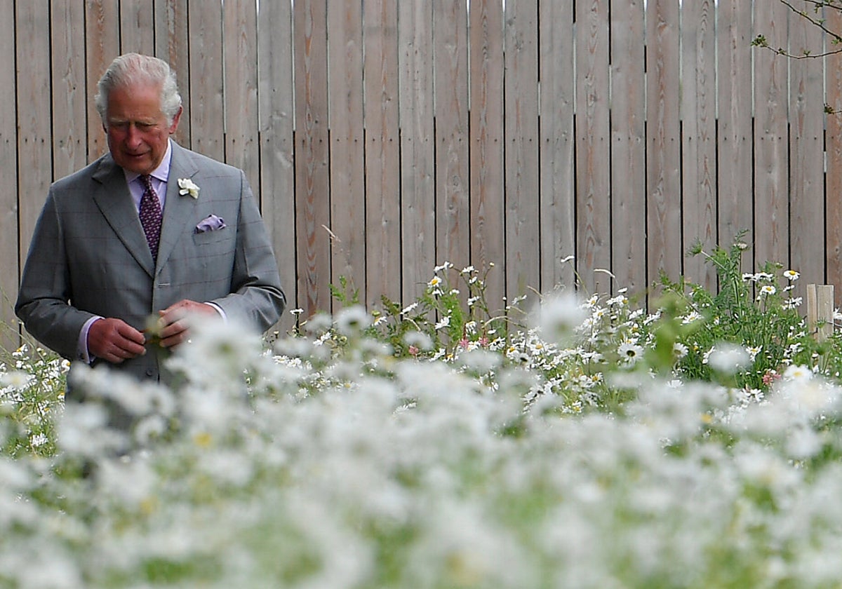 Carlos III en el ojo del huracán: denuncian malas condiciones laborales en su finca ecológica
