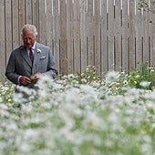 Carlos III en el ojo del huracán: denuncian malas condiciones laborales en su finca ecológica