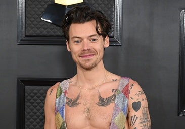 Harry Styles se lanza al mercado de juguetes sexuales