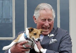 Desde galletas para perros hasta abrigos impermeables: así es el negocio 'pet friendly' del Rey Carlos III