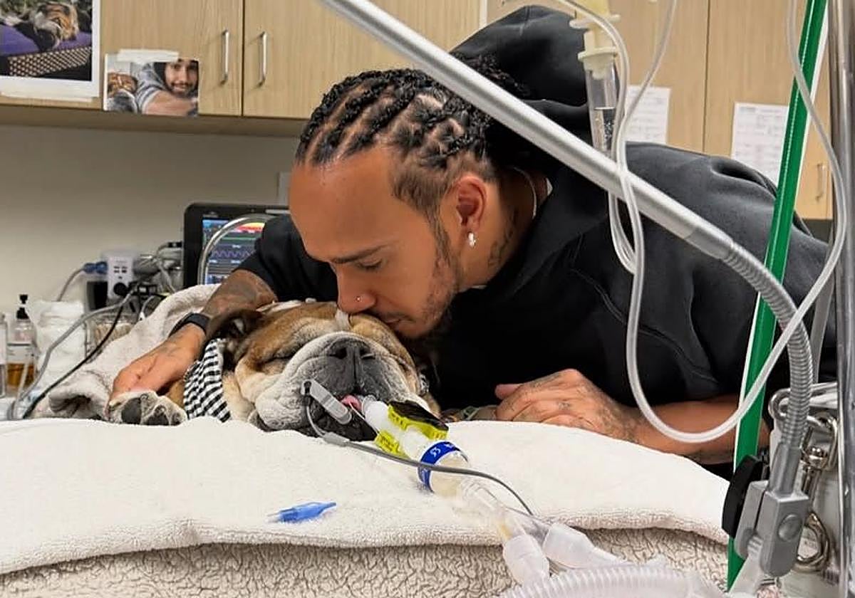 Muere Roscoe, el perro y mejor amigo de Lewis Hamilton: «Ha sido una de las experiencias más dolorosas de mi vida»