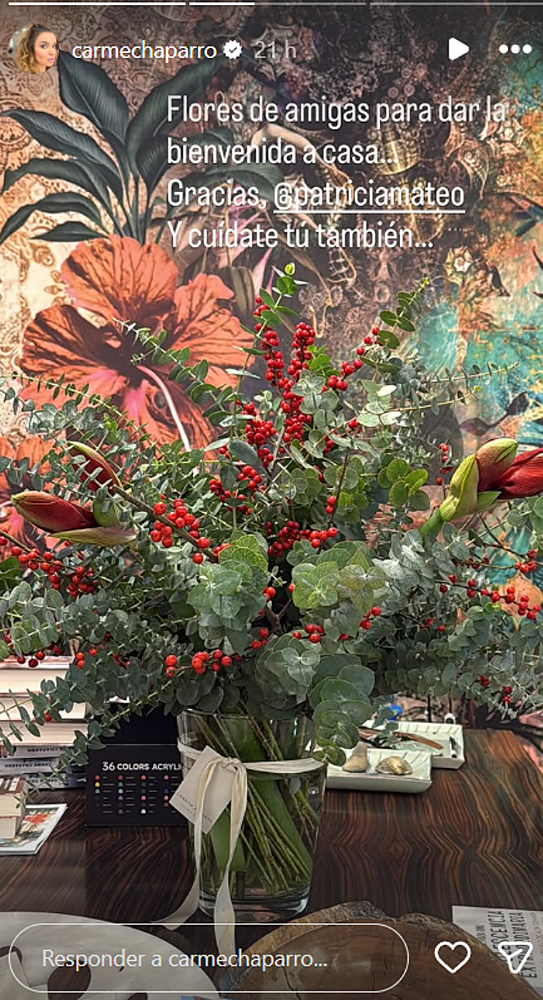 Carme Chaparro regresa a casa tras mes y medio ingresada en el hospital