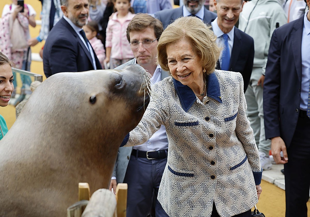 La Reina Sofía acaricia una foca