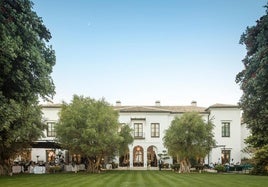 10 Restaurantes de hoteles en Málaga que merecen una parada gastronómica