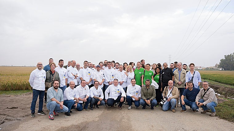 El arroz sevillano recupera su terreno en las Marismas