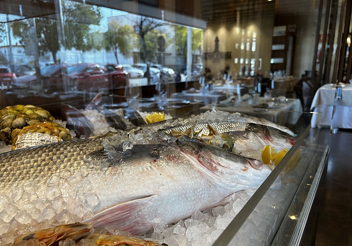 Vitrina de pescados de La mar nuestra