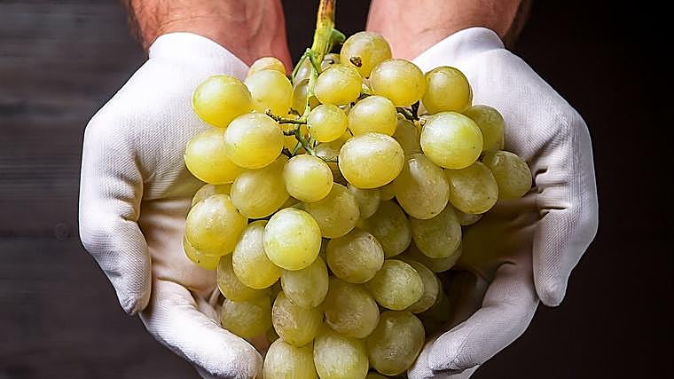 Las uvas son las protagonistas de esta original bebida