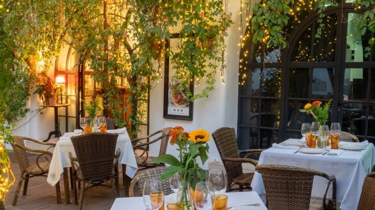 La terraza gourmet de Fusión by Sojo