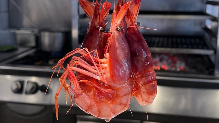 La barra de Cañabota es uno de nuestros favoritos para comer buen marisco en Sevilla