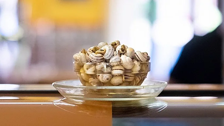 Caracoles de Bar Coli