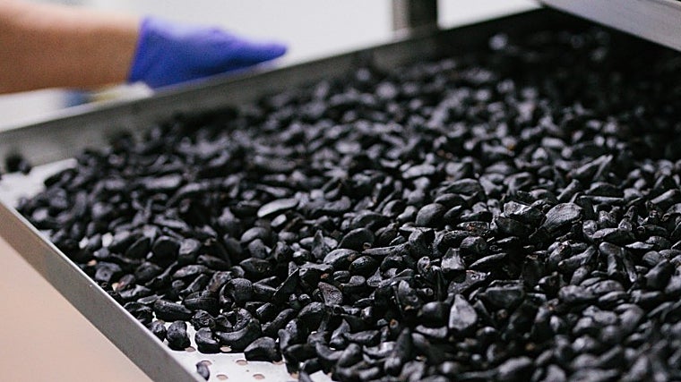 Ajos negros de La Abuela de Carmen