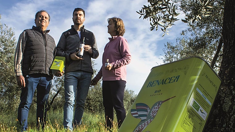 Adrián Castro y sus padres en sus olivares situados en La Carlota (Córdoba)