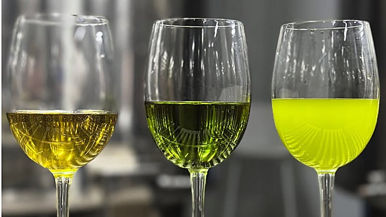 AOVE con un año, recién filtrado y sin filtrar de Finca La Torre