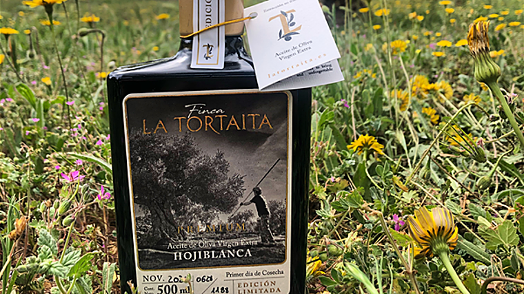 Los mejores aceites de oliva de Málaga: un recorrido por los AOVEs más singulares de la provincia