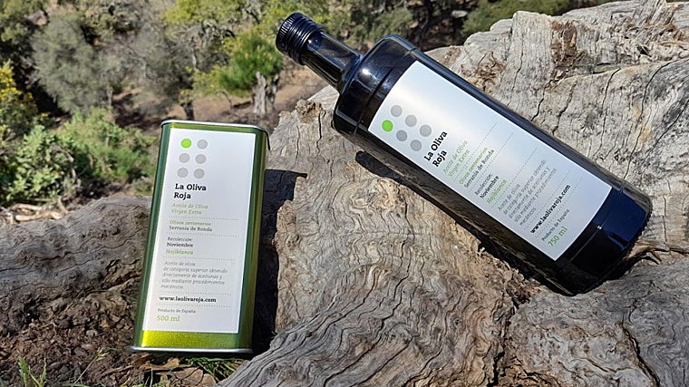 Los mejores aceites de oliva de Málaga: un recorrido por los AOVEs más singulares de la provincia