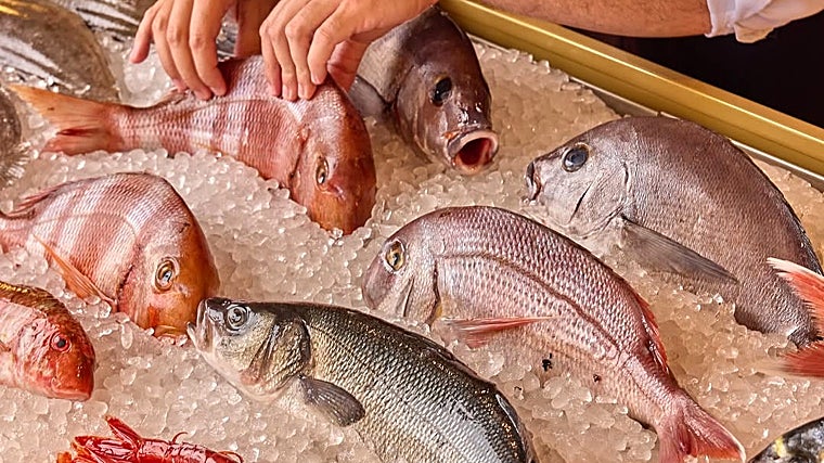 Vitrina de pescados frescos de Mar de Sazzon