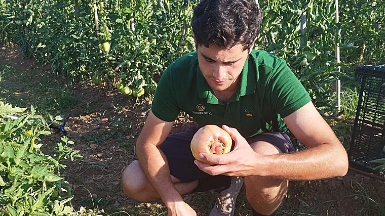 José David Díaz en su huerto de Alcolea