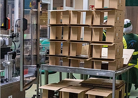 Imagem Secundária 1 – Linha de Produção Montelux