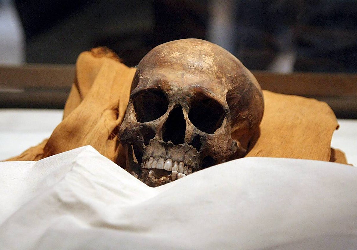 Momia de Akenatón, en 2010, tras su identificación gracias a las pruebas de ADN realizadas en el Museo de El Cairo