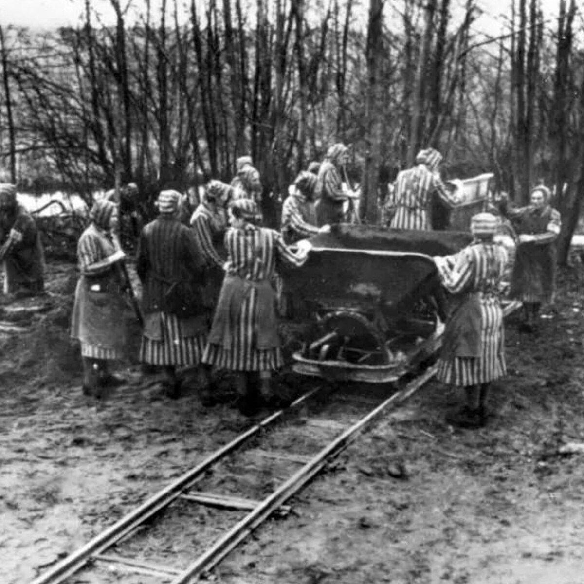 Prisioneras en el campo de concentración de Ravensbrück, exclusivamente femenino