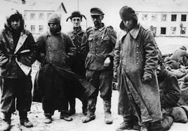 Soldados alemanes capturados en el frente de Stalingrado durante la IIGM