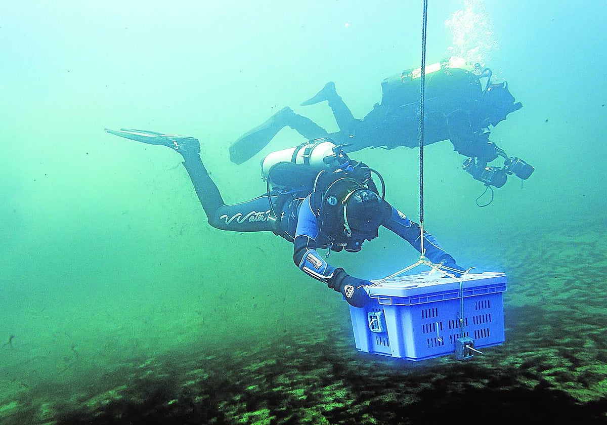 Dos buzos, en el lago de la Luna, en el cráter del volcán Nevado de Toluca