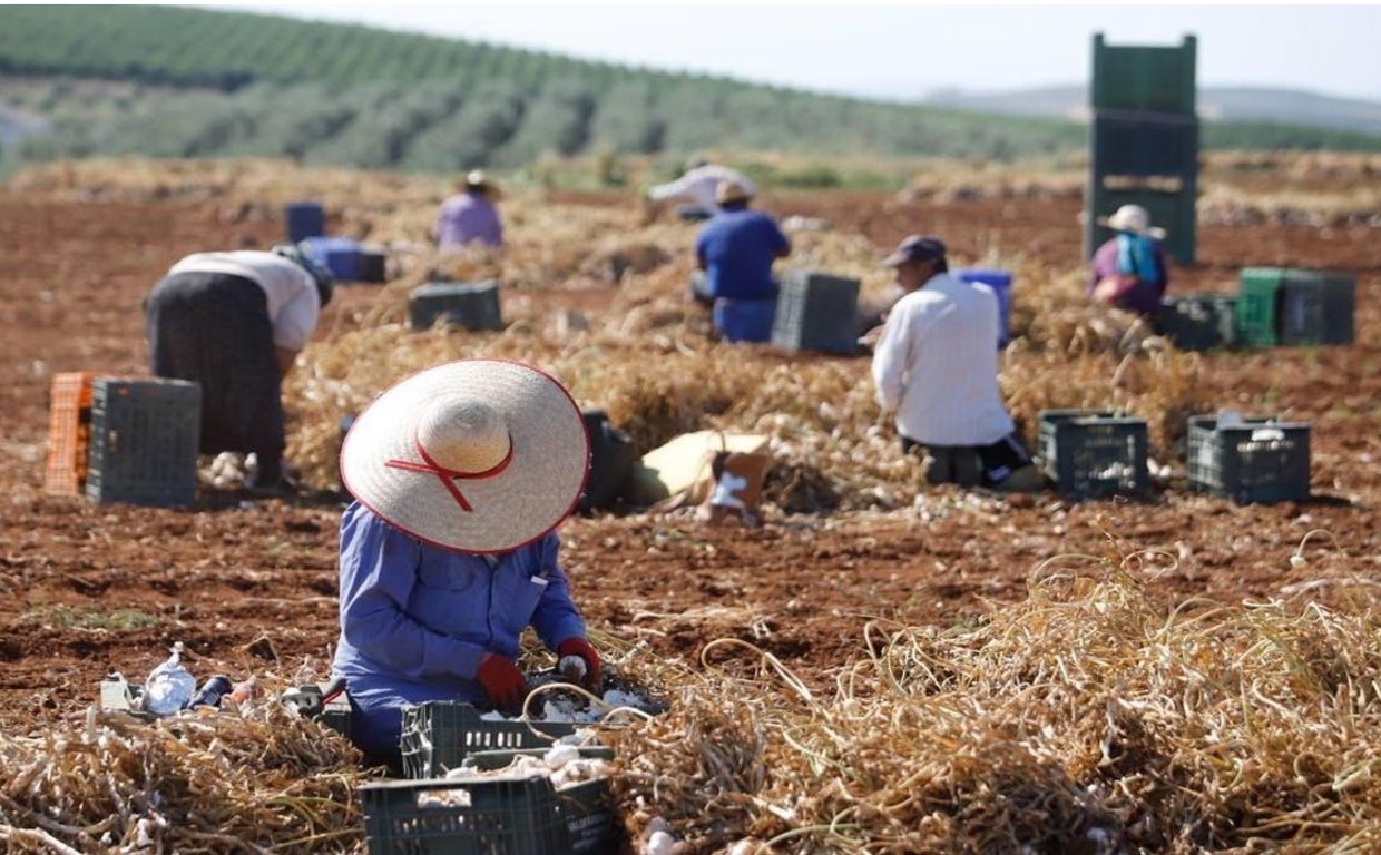 La ley venezolana prohíbe la entrega de tierra cultivable a Irán