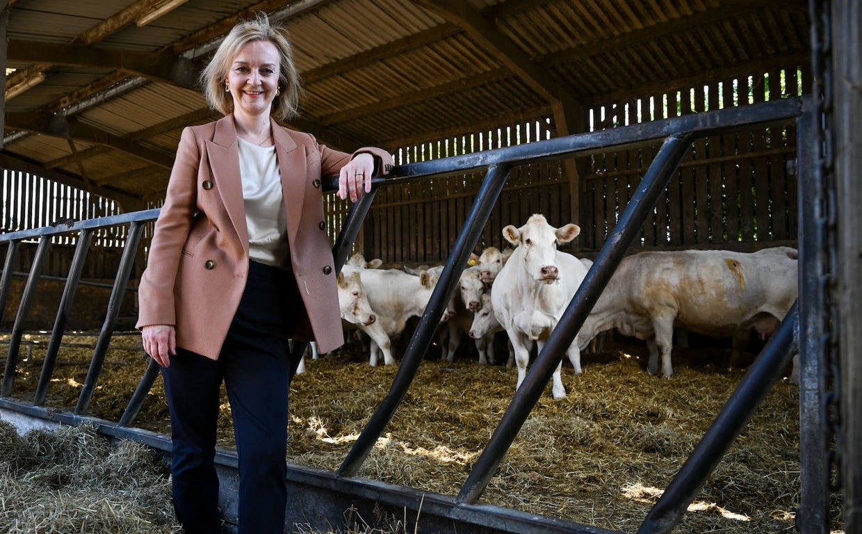 Liz Truss visita una granja de Devon