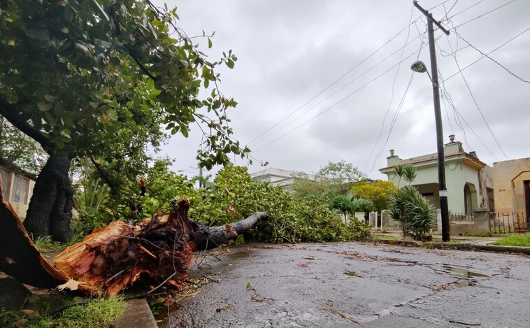 Vista de árboles caídos en una calle tras el paso del Huracán Ian hoy, en La Habana