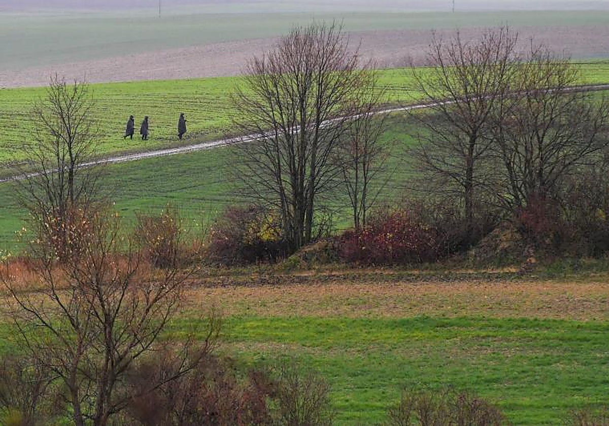 Agentes de Policía en los campos de Przewodow
