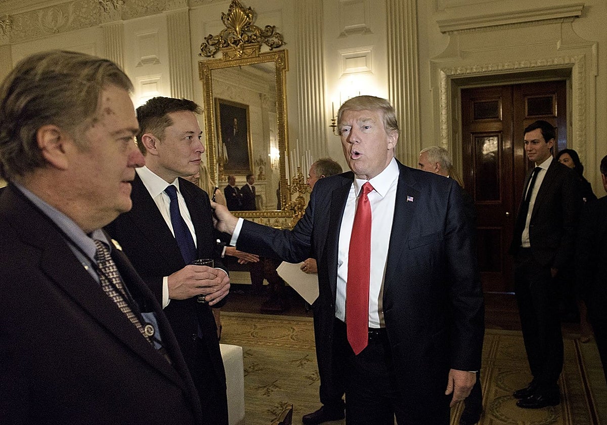 Elon Musk reactiva la cuenta de Donald Trump en Twitter