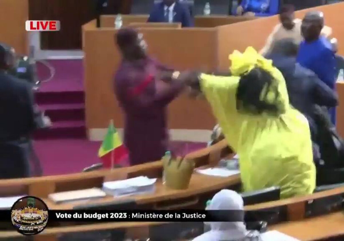 Los senadores de Senegal, a golpes