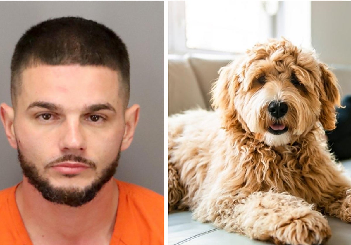 A la izquierda, el detenido y a la derecha, un perro de la raza Goldendoodle