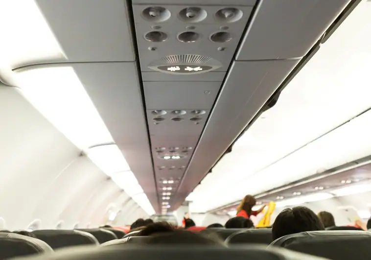 Una mujer denuncia que un hombre le orinó encima en un avión y culpa a la compañía de no hacer nada