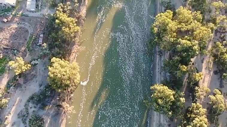 Aparecen millones de peces muertos en el río Darling de Australia