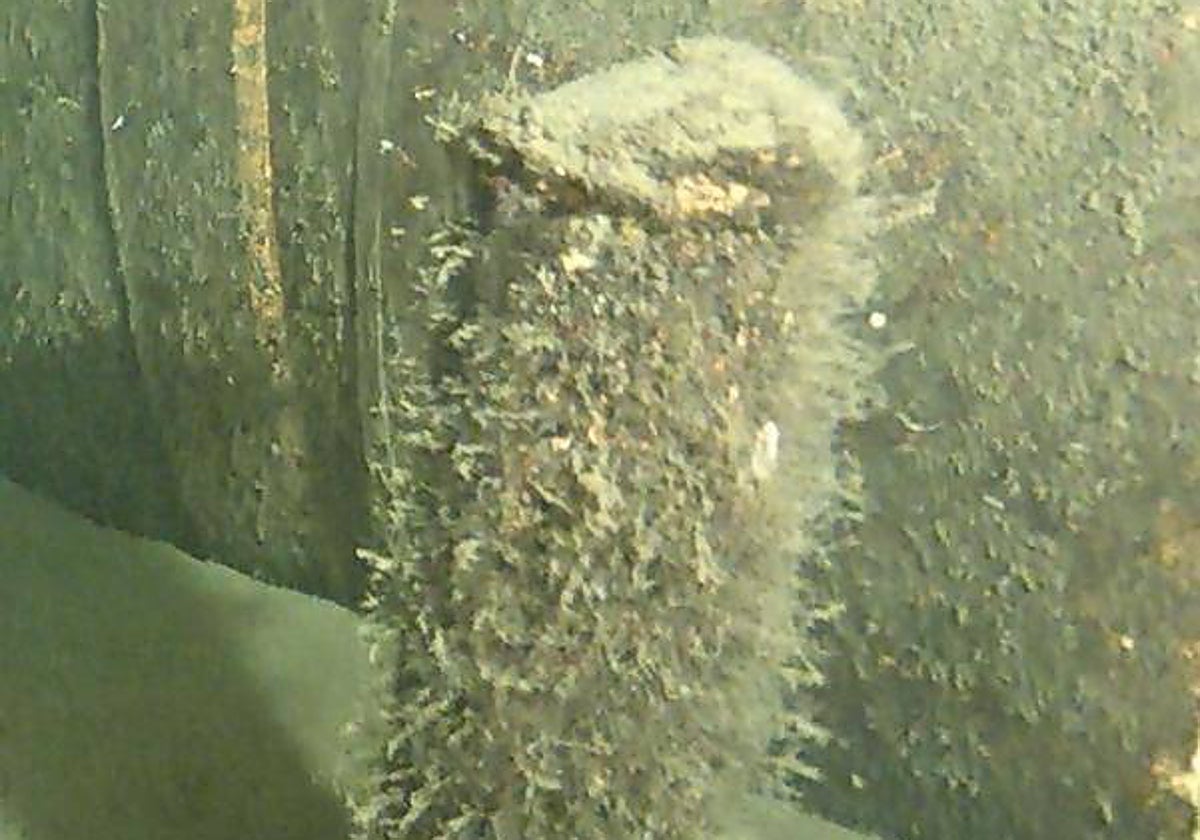 Detalle del objeto identificado en las profundidades del mar Báltico