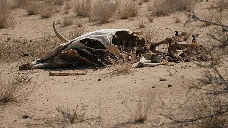 Llega 'La Hora del Planeta'