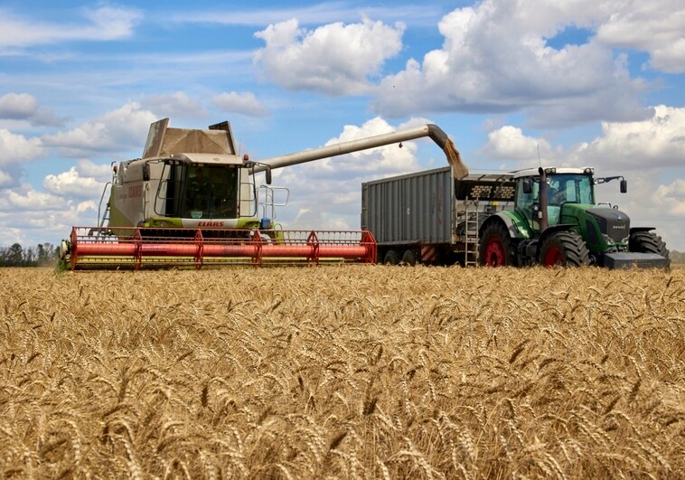 El grano ucraniano hace temblar los mercados de los países limítrofes