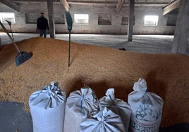 Rusia amenaza con no prolongar el acuerdo para la exportación de cereal ucraniano tras el ataque a Sebastopol