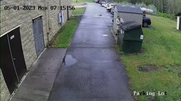 Se encuentra un oso en el contenedor cuando va a sacar la basura
