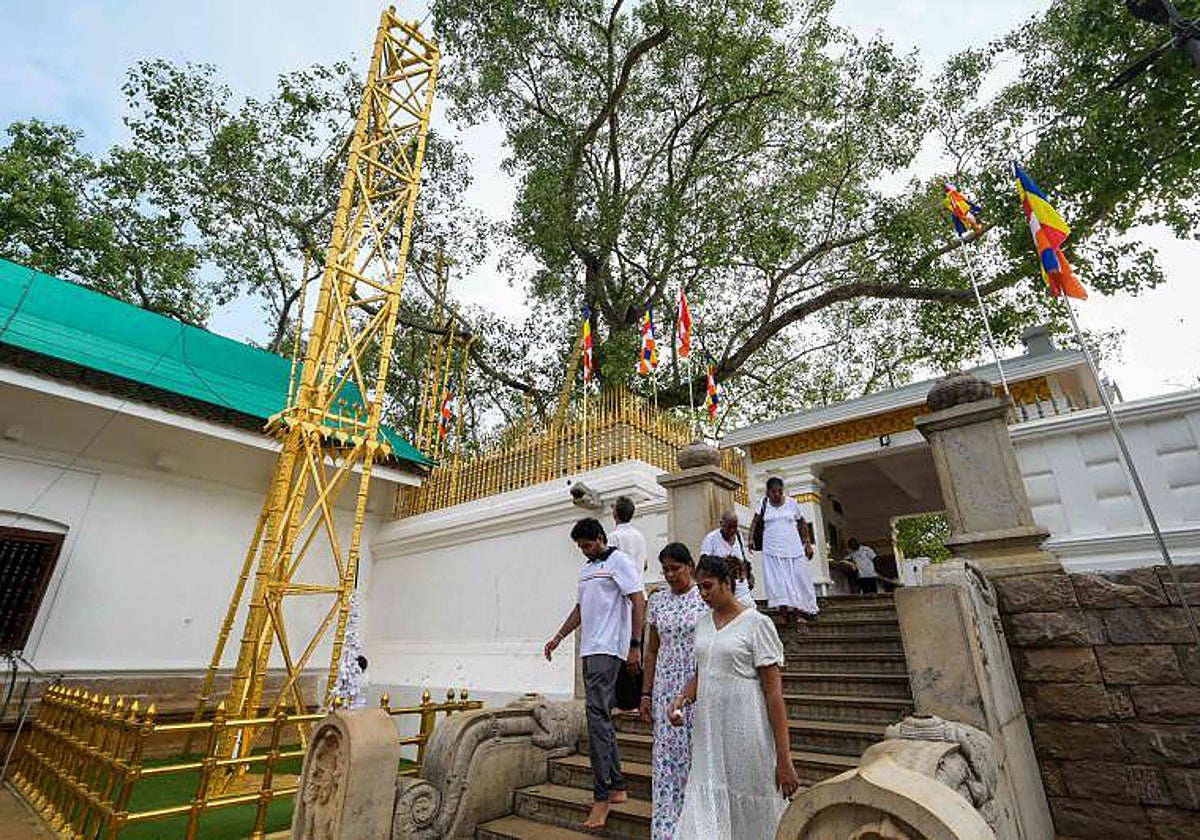 Imagen de ambiente de la India