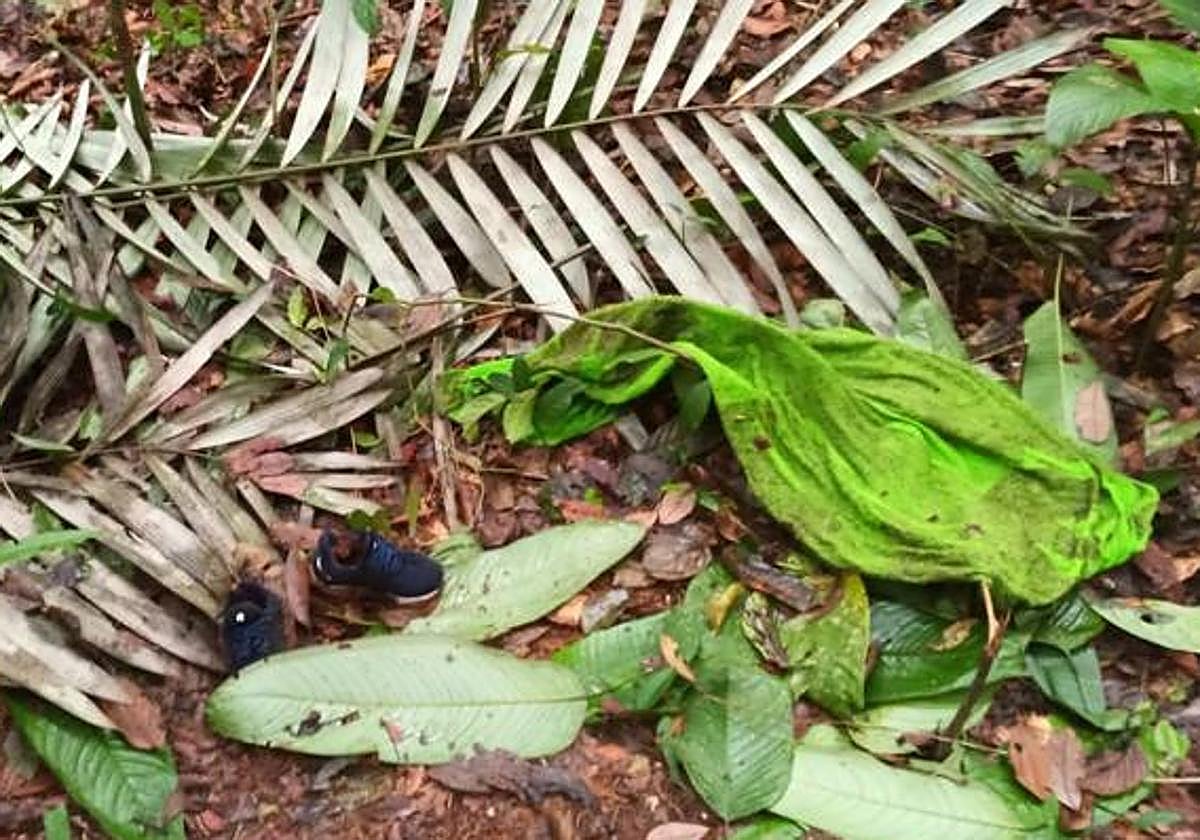 Hallan nuevos rastros de los cuatro niños desaparecidos en Colombia tras un accidente aéreo
