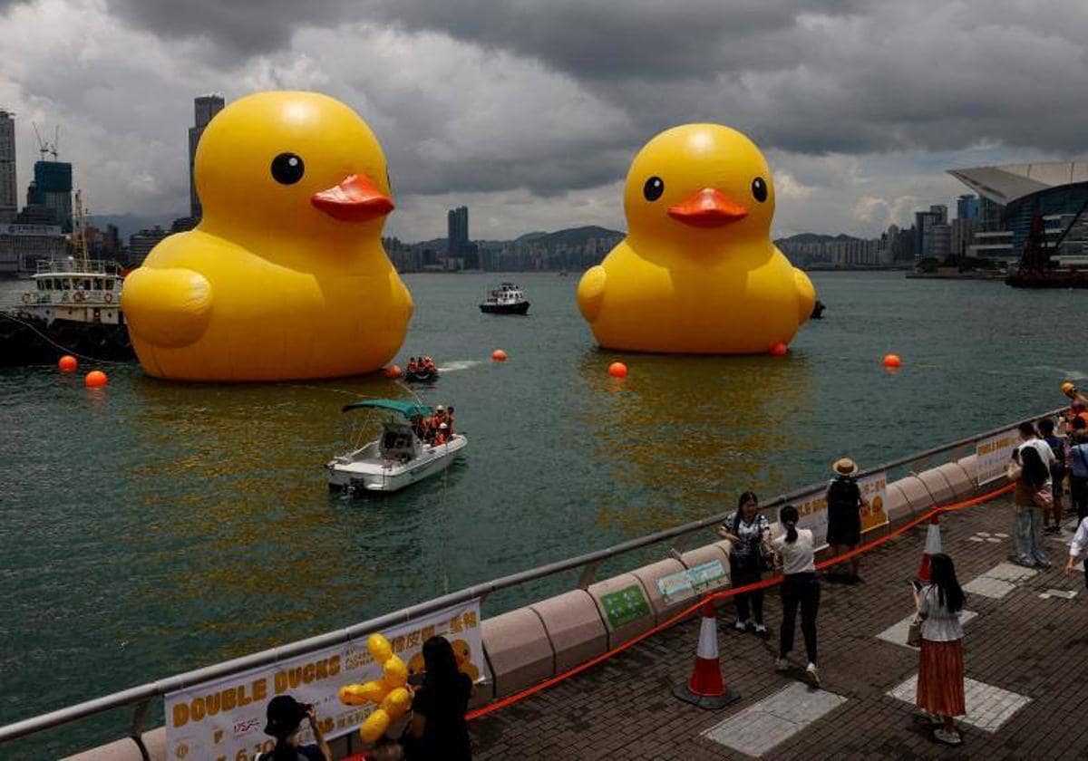 Dos patos de goma gigantes toman la bahía de Hong Kong para