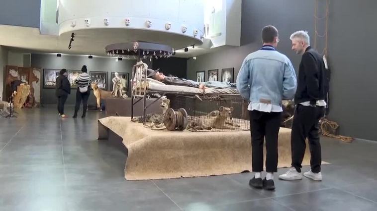 Impactante exposición en Sudáfrica muestra el expolio de los humanos en la naturaleza