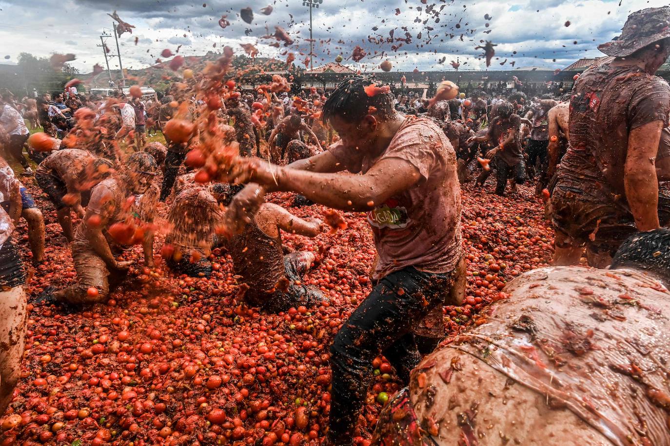 Colombianos participan en el décimo Festival Anual de Lucha del Tomate, conocido como «Tomatina»