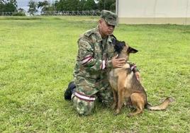 Operación salvar a Wilson: dos perras en celo buscan al can perdido en la selva colombiana tras buscar a los niños