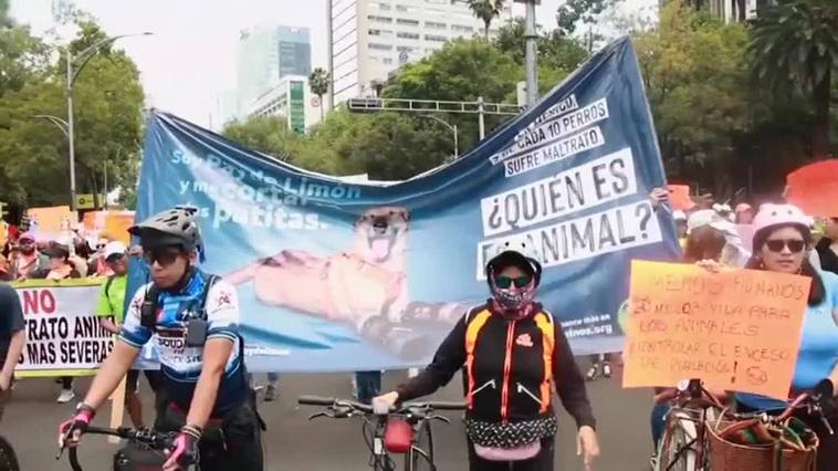 Miles de personas marchan en Ciudad de México en defensa de los derechos de los animales